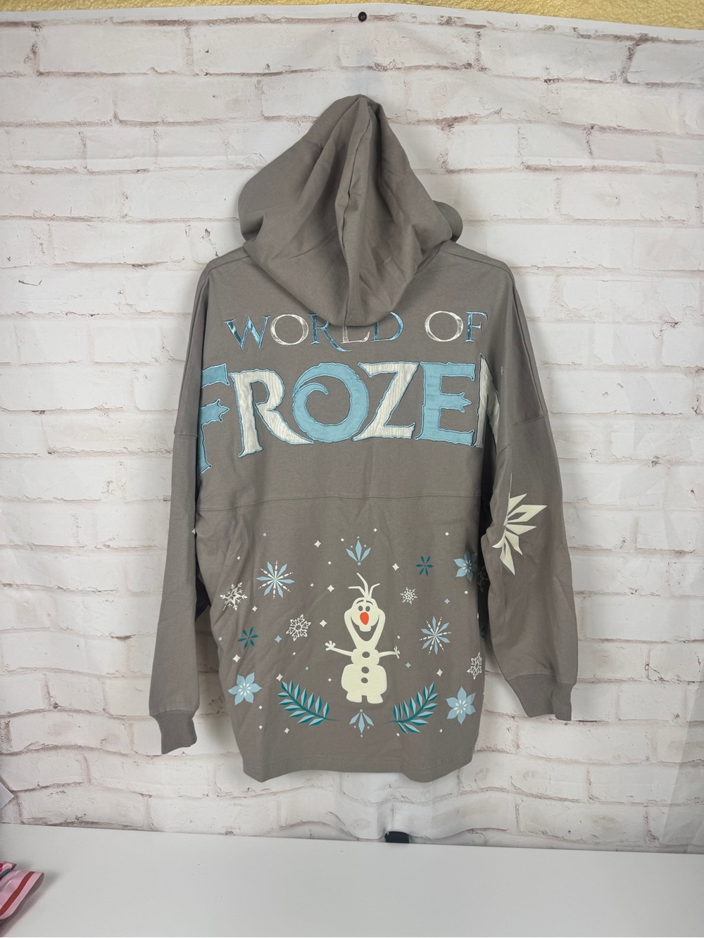 Disneyland Hong Kong World Of Frozen Hooded Spirit Jersey Size M NWT!!!!!